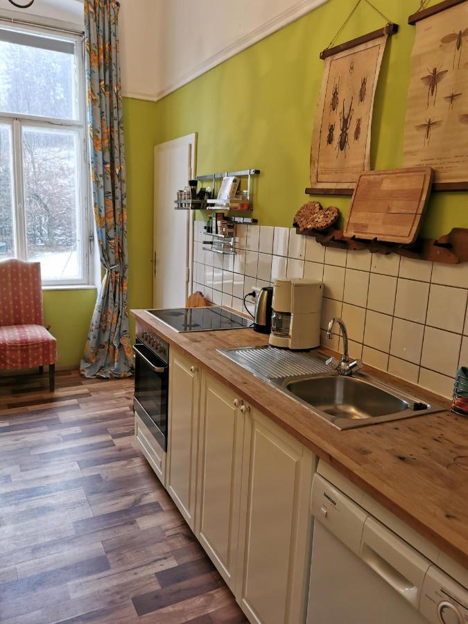 Wilhelmsburg Villa Eisenwerk מראה חיצוני תמונה